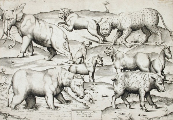 Sheet of Animals, 1547. Creators: Enea Vico, Antonio Lafreri.