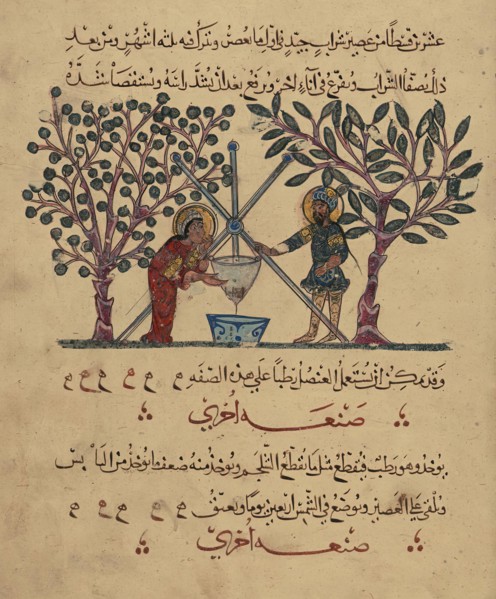 Single Leaf from the Arabic Version of Dioscorides' De materia medica, Rajab 621 AH/AD 1224. Creator: Unknown.