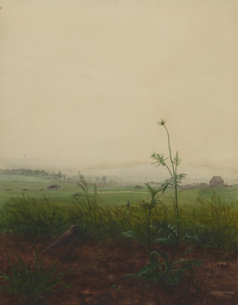 Blackbird and Scabious in front of a Landscape, 1864. Creator: Leon Bonvin.