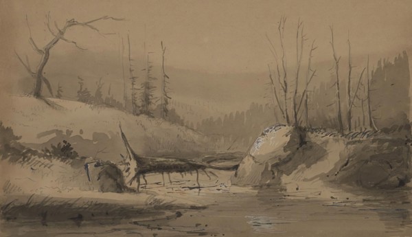 Stream with a Fallen Tree, mid 19th century. Creator: Alfred Jacob Miller.