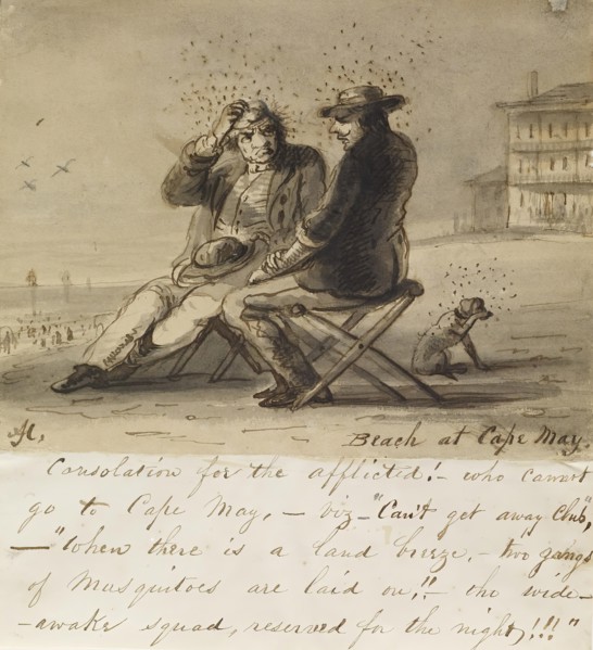 Beach at Cape May, c1840. Creator: Alfred Jacob Miller.
