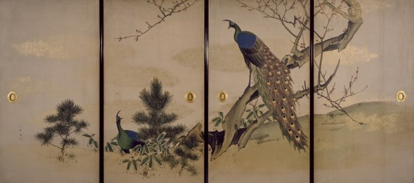 Peacock and Peahen with Flowering Prunus, c1840-1850. Creator: Mori Ippô.