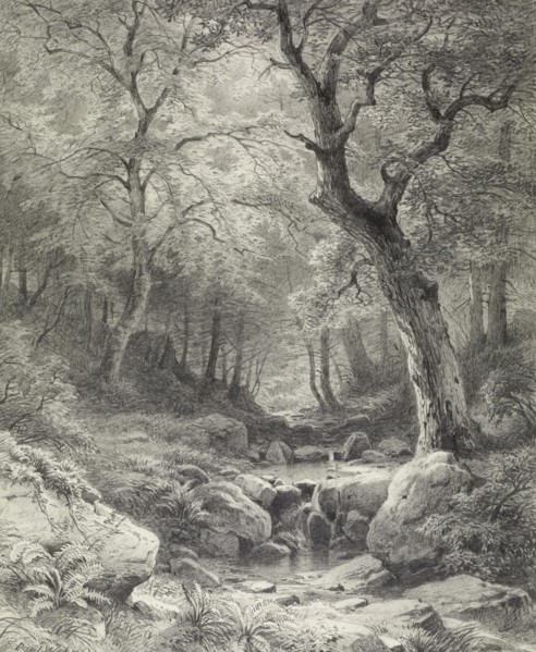 Forest Scene, second half 19th century. Creator: Paul Weber.