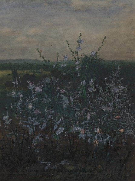 Wild Chicory in front of a Landscape, 1864. Creator: Leon Bonvin.