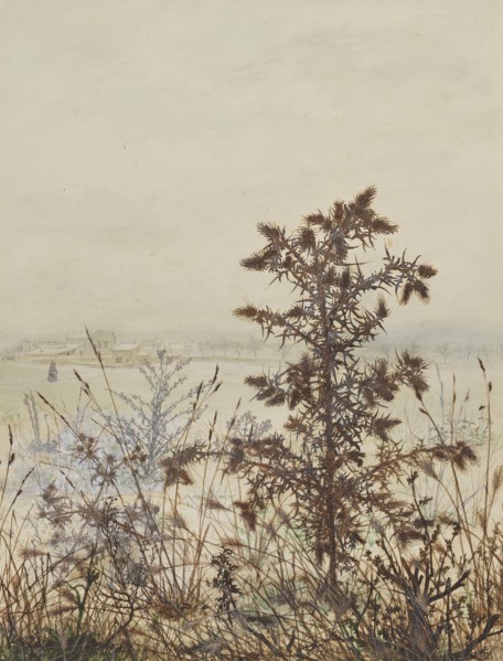 Thistle in front of a Winter Landscape, 1864. Creator: Leon Bonvin.