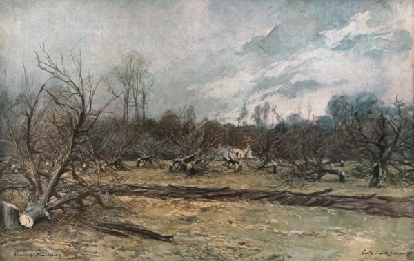 'Les pommiers coupes a Cuts (Oise)', 1917. Creator: Francois Flameng.