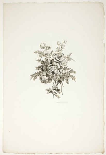 Bouquet with Peonies, from Collection of Different Bouquets of Flowers..., published July 4, 1760. Creator: Pierre-Charles Canot.