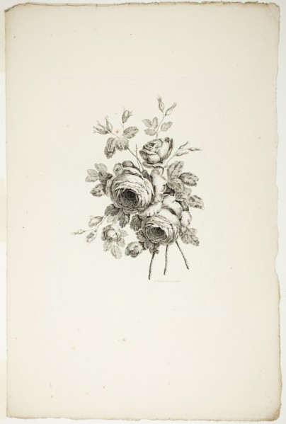 Bouquet with Roses, from Collection of Different Bouquets of Flowers, In..., published July 4, 1760. Creator: Pierre-Charles Canot.