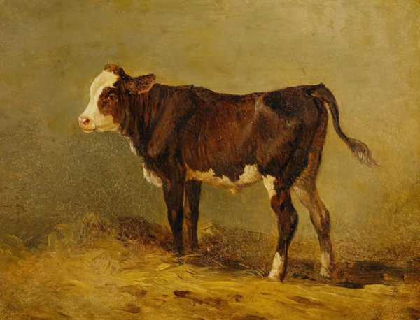 Calf, undated. (late 19th century) Creator: Edmund Mahlknecht.