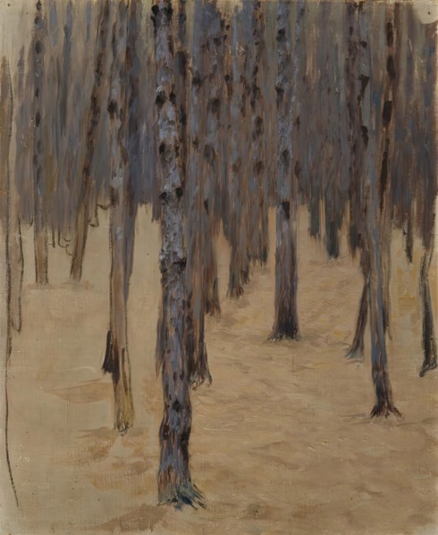 Coniferous forest in the snow, 1908. Creator: Koloman Moser.