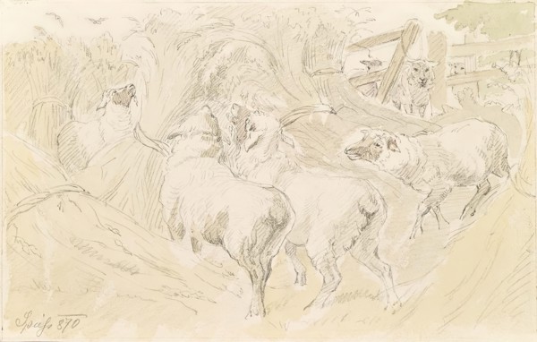 Sheep in the grain, 1870. Creator: August Spiess.