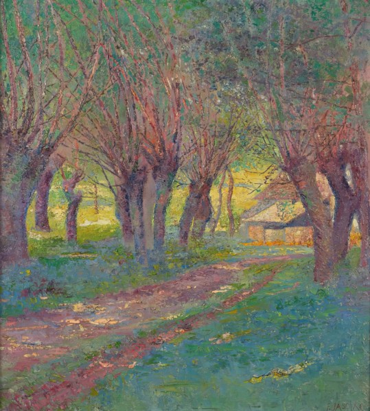 Pollarded willows in Weyer, 1909. Creator: Franz Jaschke.