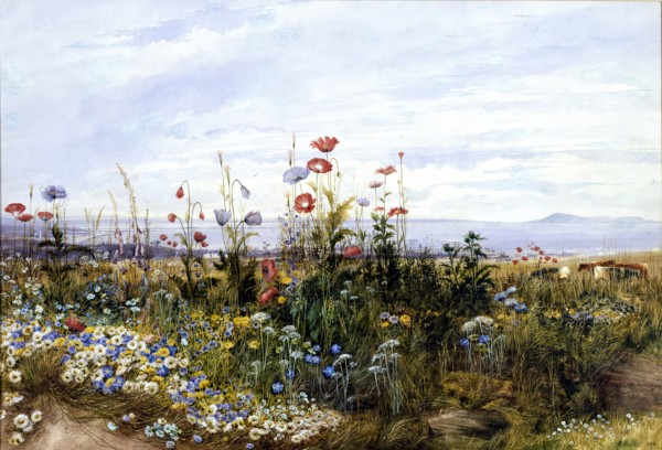 Wildflowers with a View of Dublin Bay from Kingstown, 1830s. Creator: Andrew Nicholl.