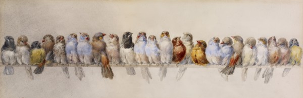 A Perch of Birds, c1880. Creator: Hector Giacomelli.