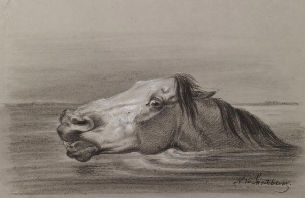 Head of a Swimming Horse, c1865. Creator: Nicolai Egorovich Sverchkov.