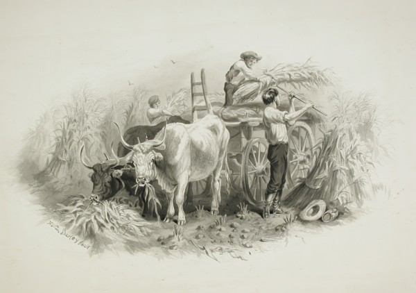 Haying Scene, 19th century. Creator: Felix Octavius Carr Darley.