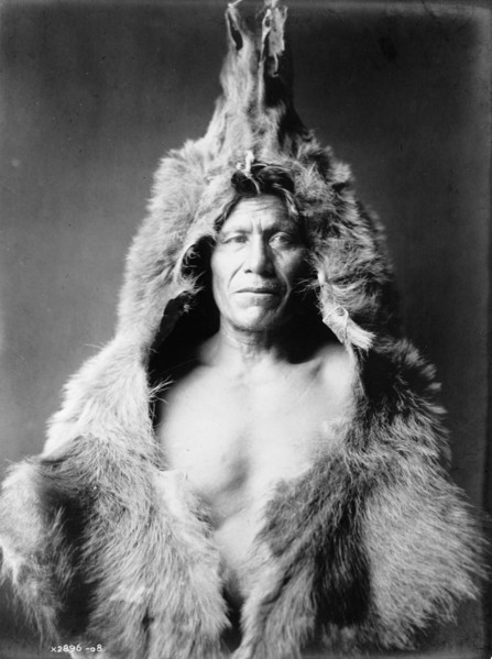 Bear's Belly, Arikara Indian half-length portrait, facing front, wearing bearskin, c1908. Creator: Edward Sheriff Curtis.