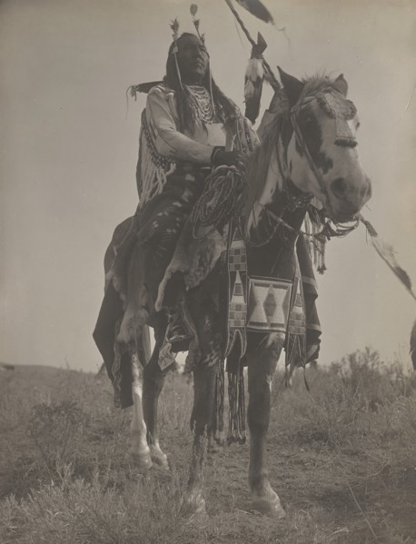 Bird On the Ground, 1908. Creator: Edward Sheriff Curtis.