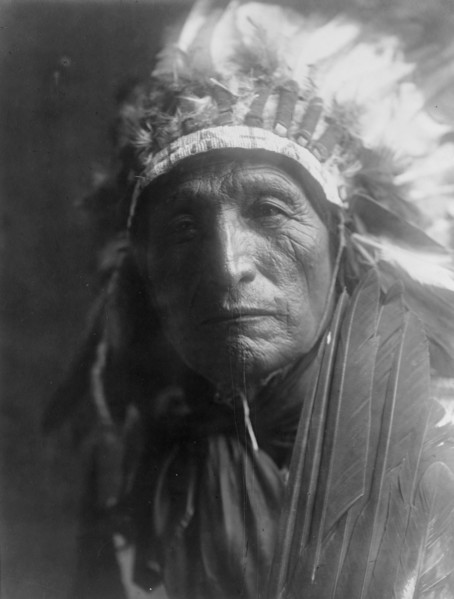 Eagle Elk (He Xa Wan ba li), c1907. Creator: Edward Sheriff Curtis.