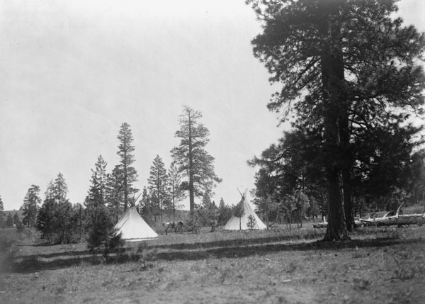 A mountain camp-Yakima, c1910. Creator: Edward Sheriff Curtis.