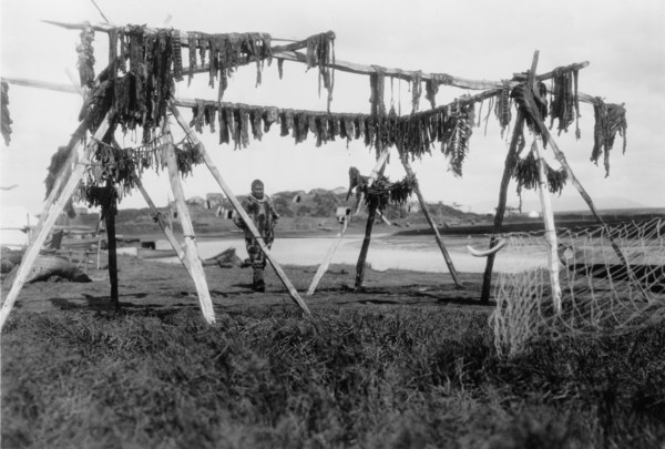Drying whale meat-Hooper Bay, c1929. Creator: Edward Sheriff Curtis.