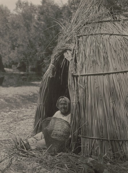 Construction of a tule shelter-lake Pomo, 1924. Creator: Edward Sheriff Curtis.