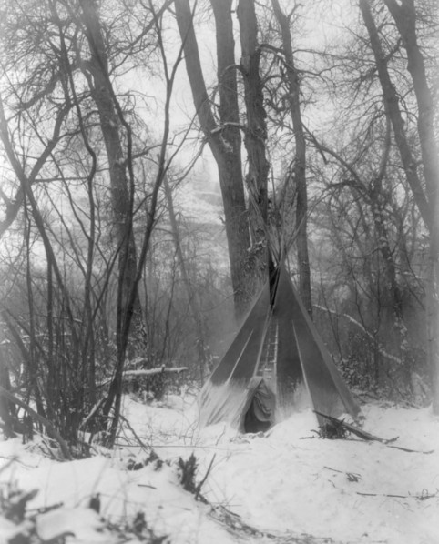 In the forest, c1908. Creator: Edward Sheriff Curtis.