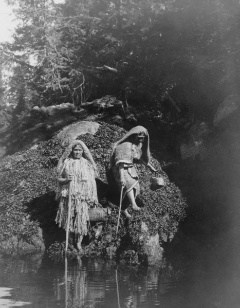Gathering seaweed-Clayoquot, c1910. Creator: Edward Sheriff Curtis.