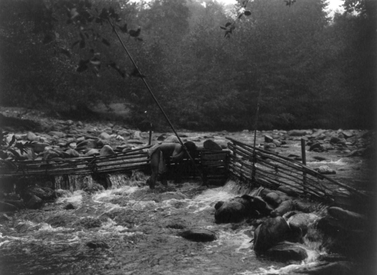 Hupa trout trap, c1923. Creator: Edward Sheriff Curtis.
