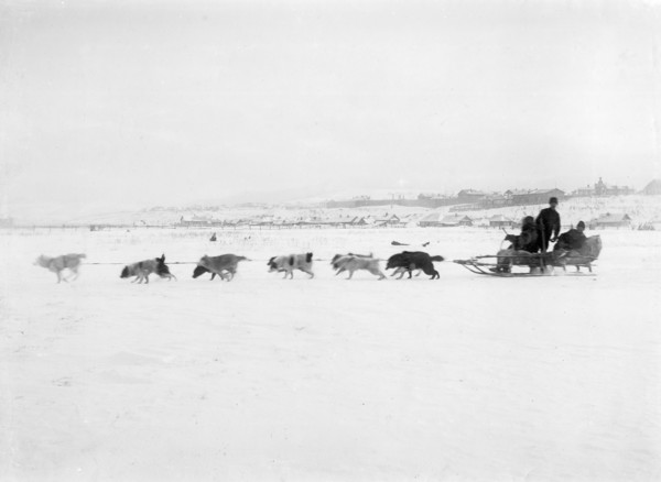 Driving Dogs, 1890. Creator: Ivan Nikolaevich Krasnov.
