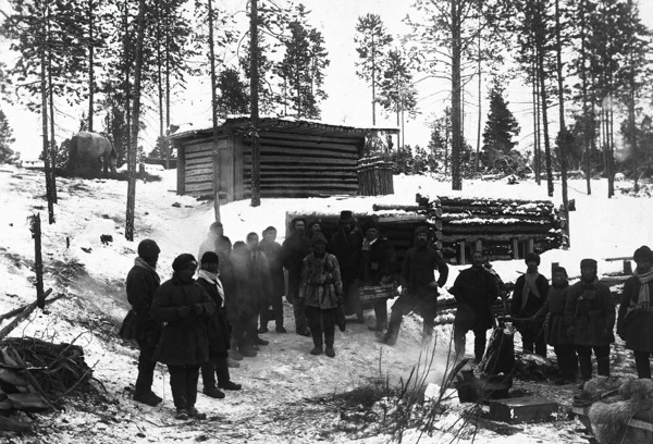 In the woods, 1890. Creator: Unknown.