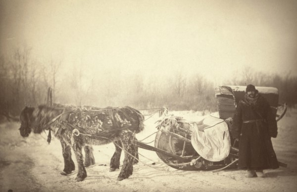 A Siberian posting sledge on a cold morning, with GK [ie, George Kennan]..., between 1885 and 86. Creator: George Albert Frost.