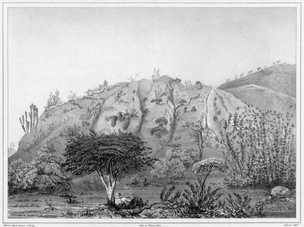 View of the Outskirts of Valparaiso, Chile, 19th century. Creators: Alexander Postels, Leon Jean-Baptiste Sabatier.