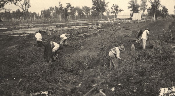 View of the road construction near the village of Practichi, 1909. Creator: Vladimir Ivanovich Fedorov.