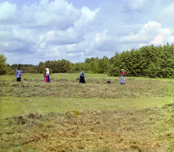 Haying [Russian Empire], 1909. Creator: Sergey Mikhaylovich Prokudin-Gorsky.