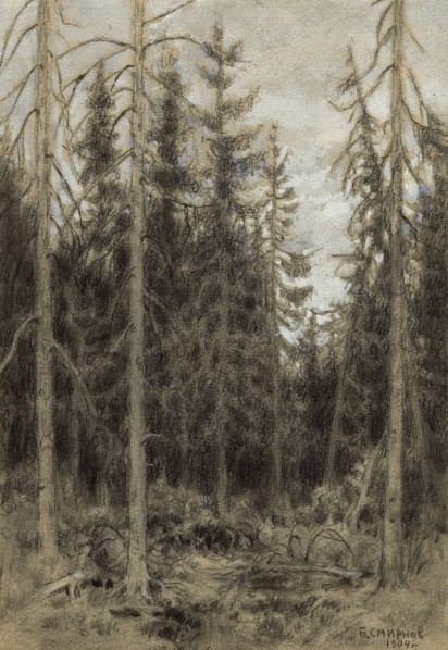 Spruce Taiga near Irkutsk, 1904. Creator: Boris Vasilievich Smirnov.