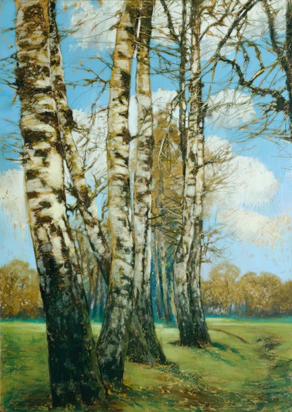 Birch trees, 1907. Creator: Ferdinand Engelmuller.