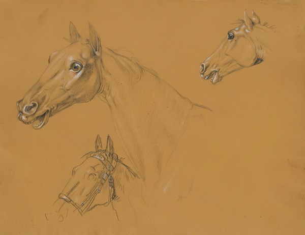 Horse study for "Archduke Karl with his staff in the Battle of Aspern", before 1817. Creator: Johann Peter Krafft.