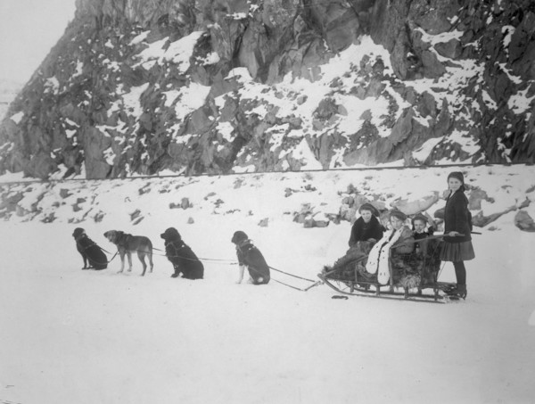 Traveling by dog sled, between c1900 and 1917. Creator: Unknown.