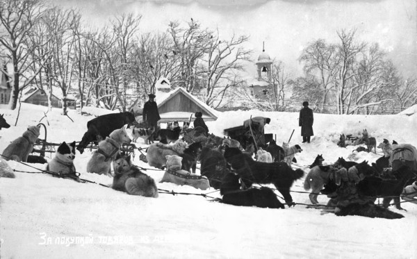 Petropavlovsk-Kamchatsky in winter; dog sleds against the backdrop of the Peter and Paul..., 1910-19 Creator: Ivan Emelianovich Larin.