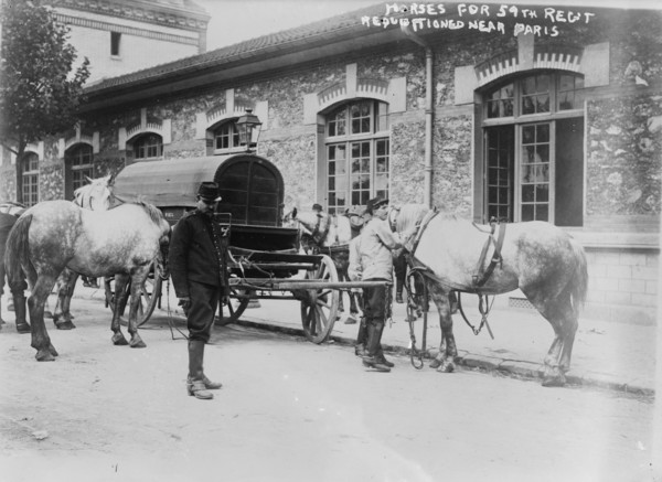 Horses for 59th Regt. requisitioned near Paris, 14 Aug 1914. Creator: Bain News Service.