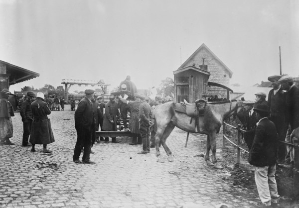 Wounded from battle of Vie [i.e., Vic] at Compiegne, 26 Oct 1914. Creator: Bain News Service.