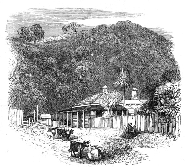 Views at the Seat of the War in New Zealand: settler's house at Waikato, 1864. Creator: Unknown.