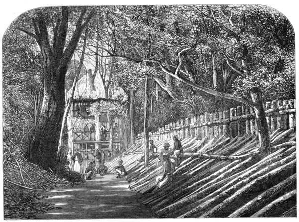 Mode of capturing wild elephants in Ceylon: an elephant kraal, with the "grand stand"..., 1864. Creator: Unknown.
