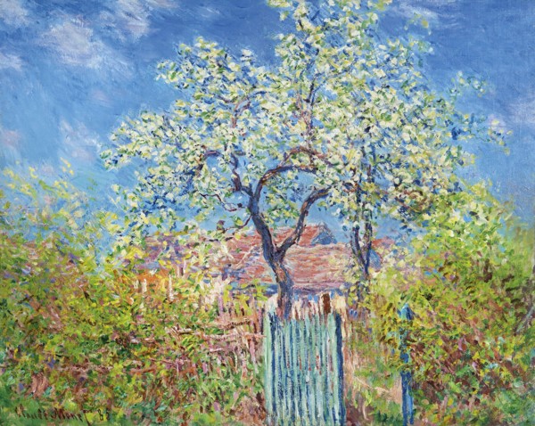 Poirier en Fleurs (Pear Tree in Blossom), 1885. Creator: Monet, Claude (1840-1926).