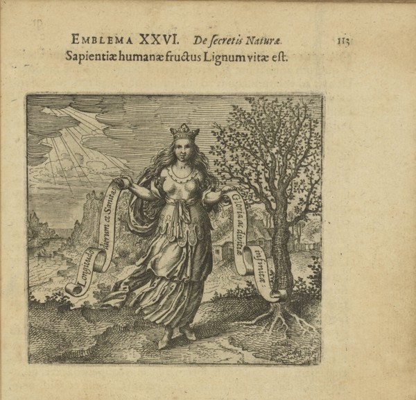 Emblem 26. The fruit of human wisdom is the wood of life, 1618. Creator: Merian, Matthäus, the Elder (1593-1650).