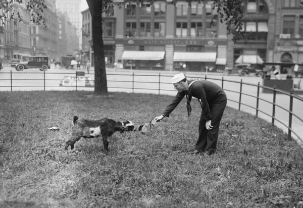 W.J. Reilly, 1917 or 1918. Creator: Bain News Service.