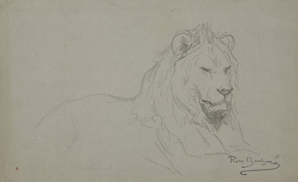 Study Of A Lion's Head, 1832-1899. Creator: Rosa Bonheur.