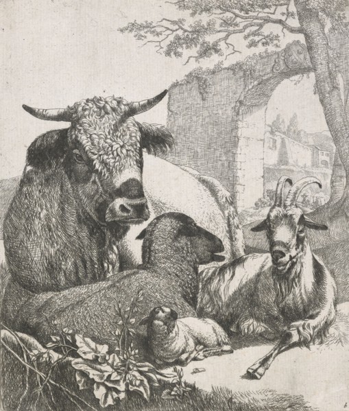 Sheep, goats and cows series: Recumbent bull, 1668-1670. Creator: Johann Heinrich Roos.