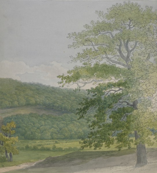 Wooded landscape, 1790s-1820s. Creator: John White Abbott.